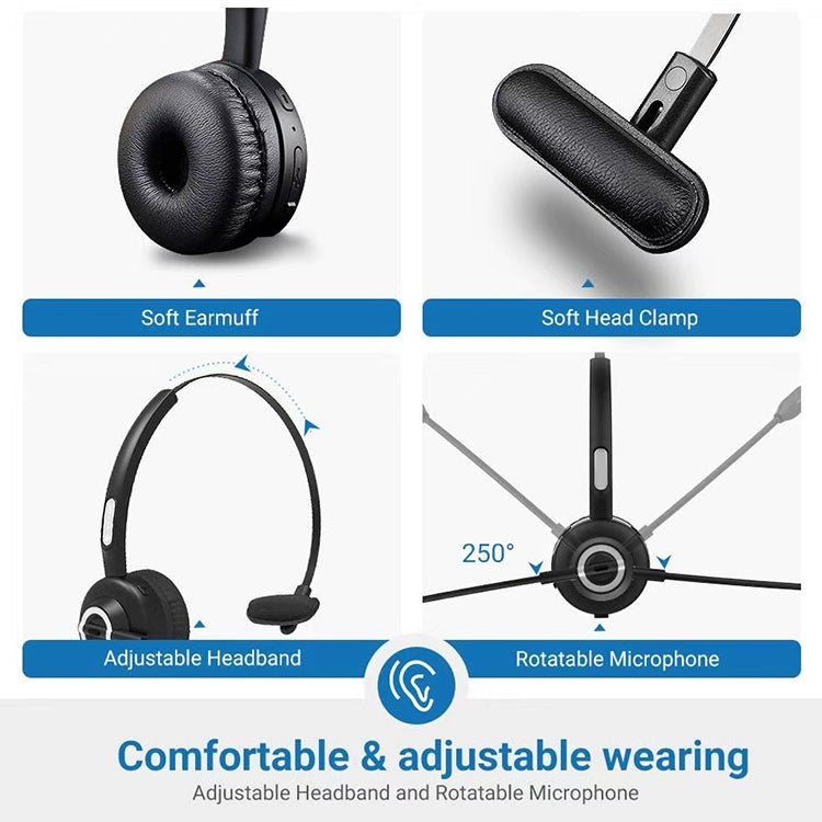 IP6D2224_6.jpg@559eaa7a6d940b06830a3067d33eb2f1