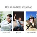 IP6D2514B_5.jpg@696f06e886bc733986c7f9139b92ce1b