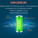 IP6D3262_11.jpg@d643d429a58e55a80842e772db171a61