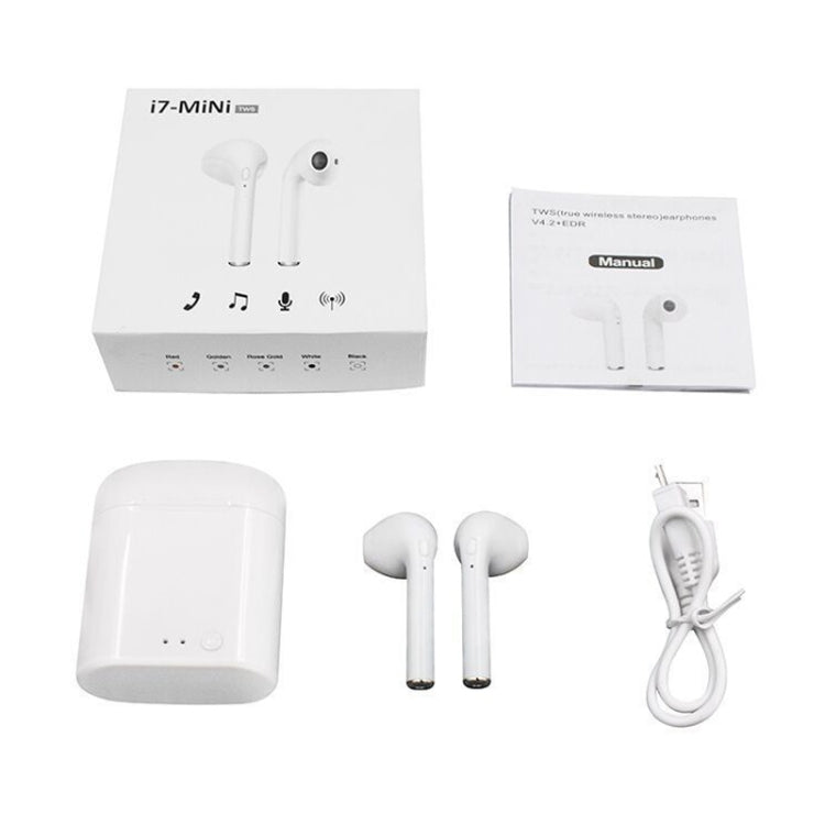 IP6D3262_2.jpg@56f9e3c6dcf204537836b85c9f9c547f