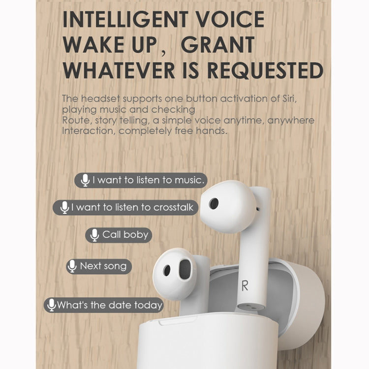 IP6D6341W_5.jpg@fb6c273d19c99785eeffd7f3dcaded1b