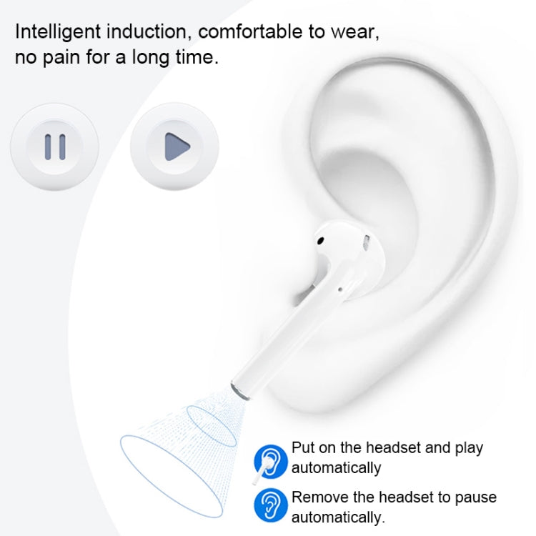 IP6D6522_6.jpg@cf4e06f3efd561d39389586b083a362f