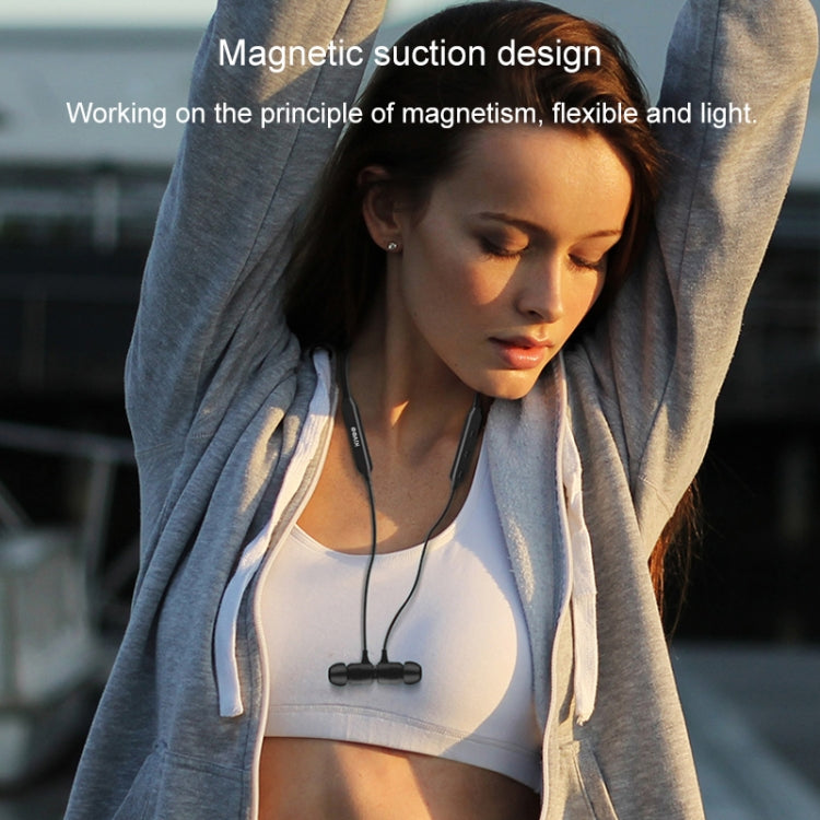 IP6D7119B_8.jpg@bf8db11c6be237e3ab3882c6c539735b