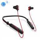 IP6D7894R.jpg@ce88d9b1c7af5c70c8d00206fb8616c9