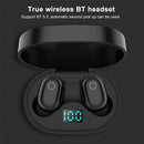 IP6D8320F_6.jpg@df0695dd6076f87eb4b48a48ce62c7fe