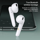 IP6D8541B_2.jpg@8d41f005adc6de2e11829f107cb7da71