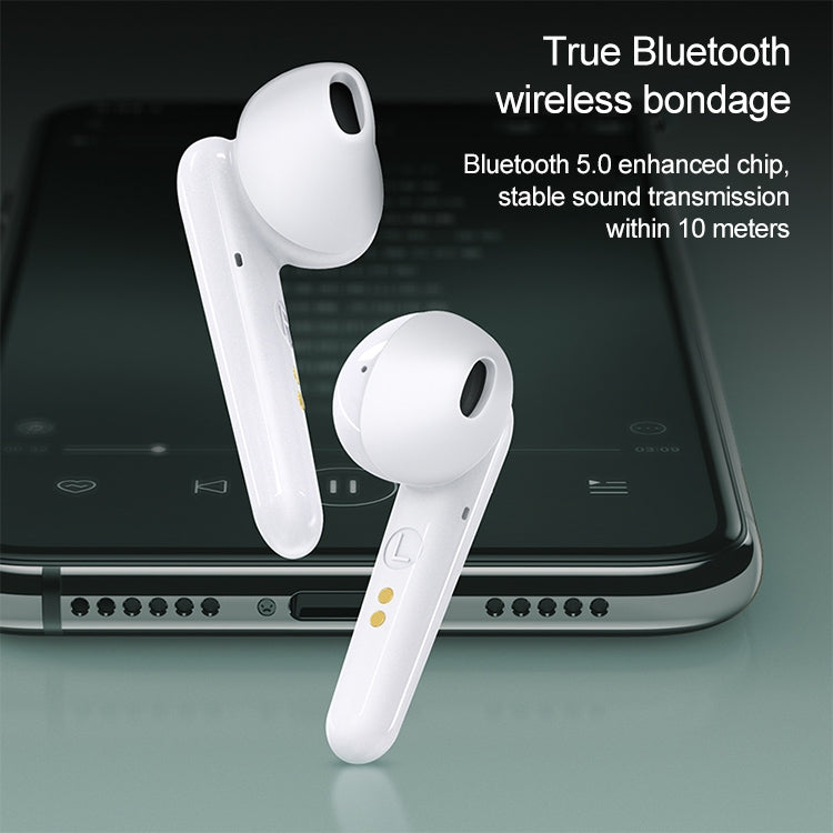 IP6D8541B_2.jpg@8d41f005adc6de2e11829f107cb7da71