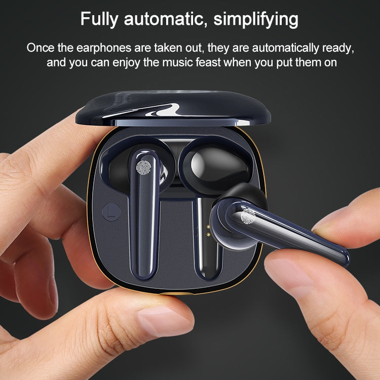 IP6D8541B_3.jpg@4f366000f74e0e3f97a11ad99b29d9d6