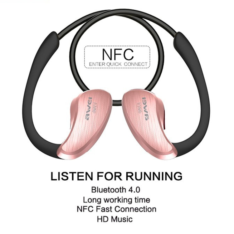 IP6P1951_B1.jpg@e7d137db483866ff9898a7d8f3b4ef21