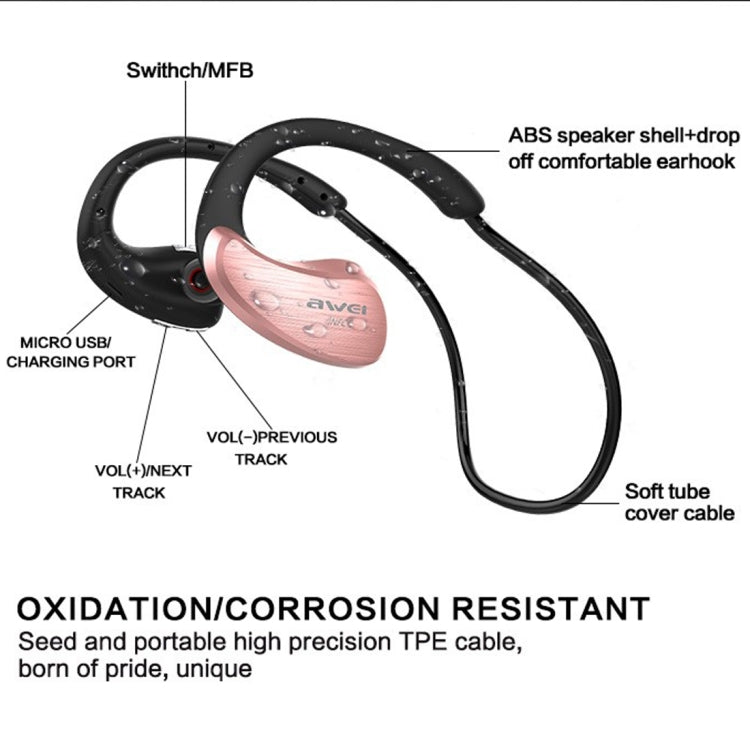 IP6P1951_B2.jpg@f67604cd48e58e07c1dde3603d998a8b