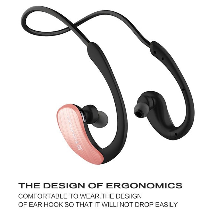 IP6P1951_B3.jpg@cc64949931d8fcedfb0daf88afb4f90a