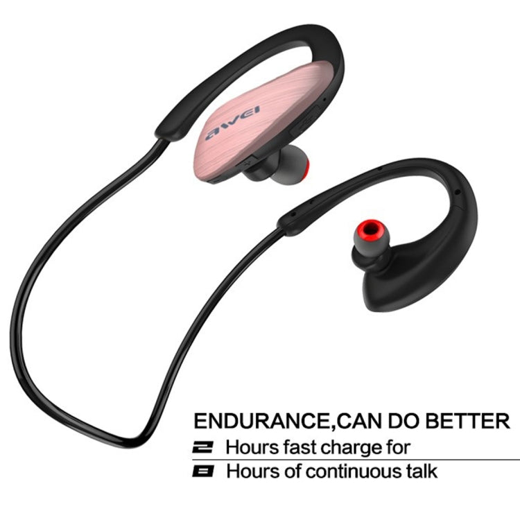 IP6P1951_B4.jpg@6e458a7cc6e0d717926ad74215ca7abc