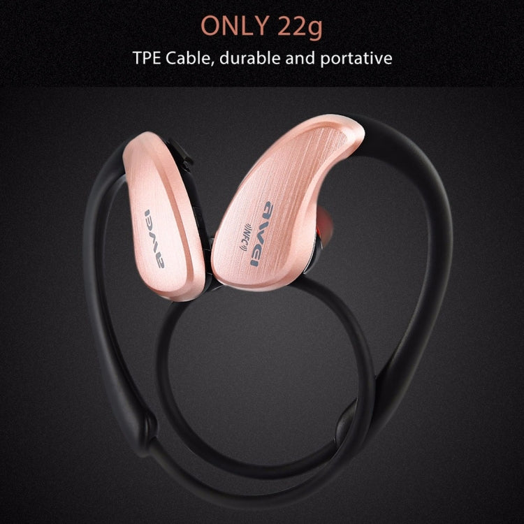 IP6P1951_B8.jpg@406a2cce61b465760c5d5c42f5279519