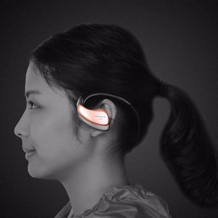 IP6P1951_B9.jpg@355daefa96482dbaed1935335ddfbc27