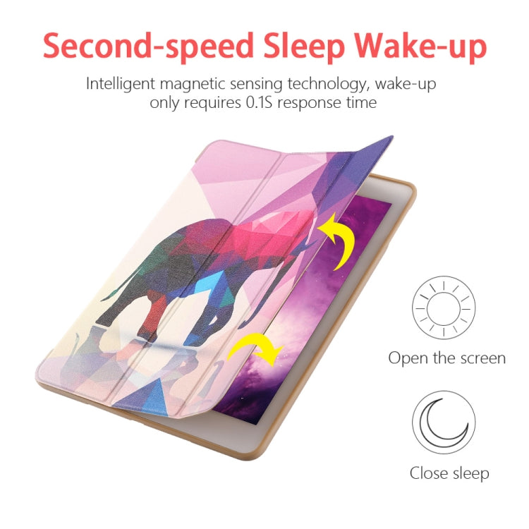 IP7D00251_2.jpg@8f84098f6dcb923041cbdfd4d7122dd5