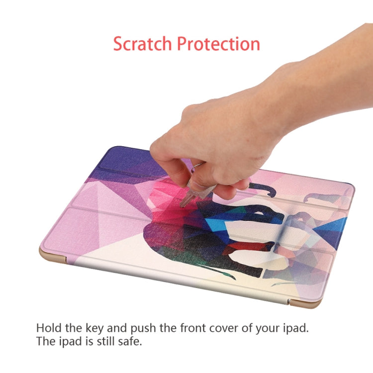 IP7D00251_6.jpg@a5be563dc9446f890f21092ac155f24a