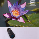 IP7G1387_7.jpg@30fce2a4af9002fcdd6c4362d936d1f1