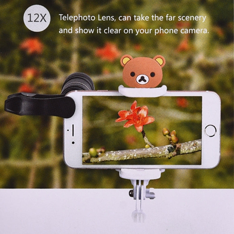 IP7G1387_8.jpg@5f505defd0f4cbb7f786fe153d29f23b