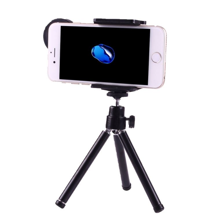 IP7G1745B_1.jpg@10d1e35af0e6474193c3001df7ba826b