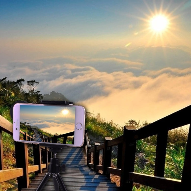 IP7G1745B_5.jpg@592eb7345d028d4e4ede2b3d5a38f71a