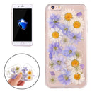 IP7G2996G.jpg@34e337641064a50aa919022960314e79