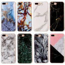 IP7P1209_B1.jpg@34759dbd2668d3898de736a77992fabb