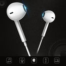 IP8F0027_2.jpg@5bccb749b062df21f2d052e7aa67af1b