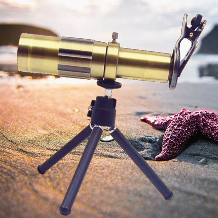 IP8G0211J_1.jpg@2f5bf1a2293c7f09bafdb099f7cbcb60