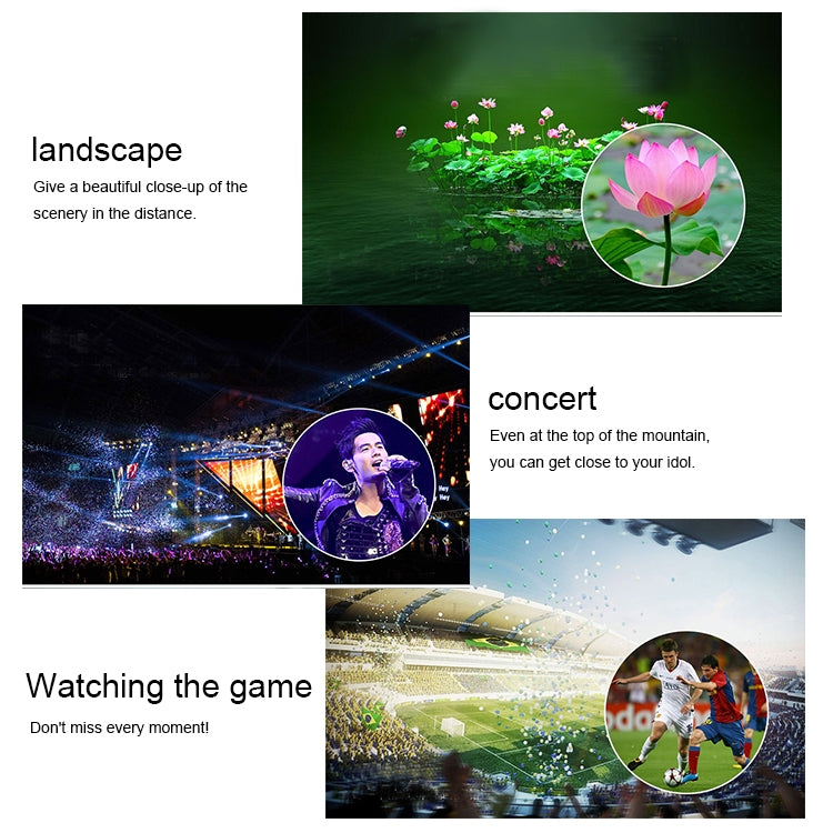 IP8G0289_12.jpg@ba0e7e5e751c52d7eafc66738860d74c