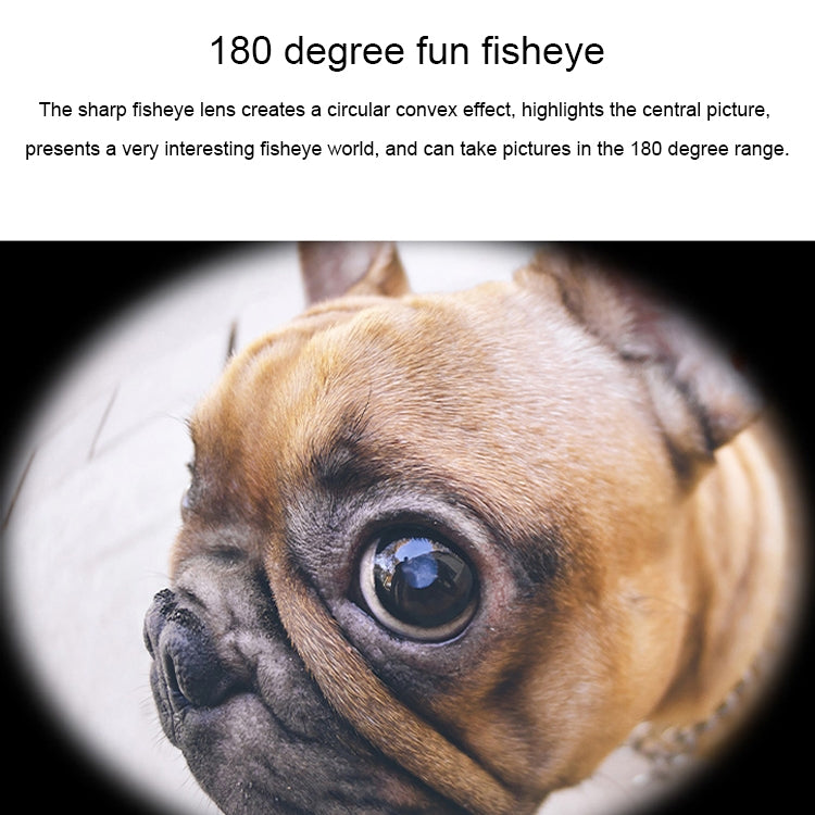 IP8G0289_9.jpg@21170233c9312b8ccd2b35b2c87a29d5