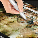 IP8G0447B_5.jpg@7bf9b3fd543160ed02f820d07632f7a4