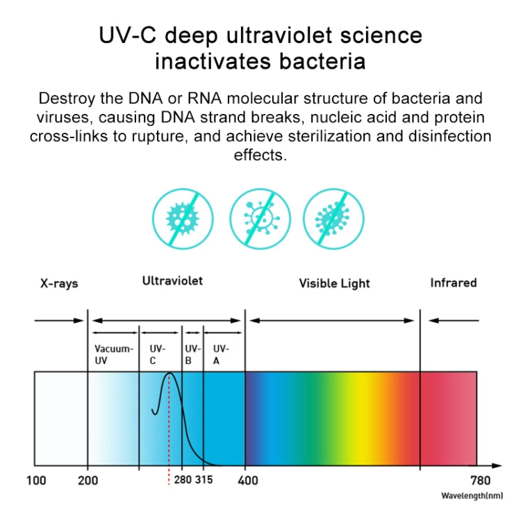 IP8G0636W_11.jpg@f278939916b549d1349fd71195190a45