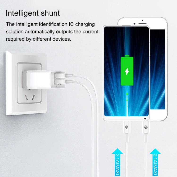 IP8G3066B_5.jpg@608cf1f951536de4cbdd0f79d5856af5