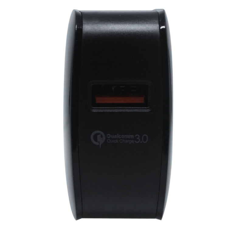 IP8G9132_3.jpg@474d8e3ab9ed93a93c1564e537c5e1c8