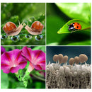 IP8P0007_9.jpg@9e43dc6c0196e804982f42d39bec4300