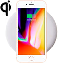 IP8P1451W.jpg@0ae3ac42cfea05f91a52027263a942bd