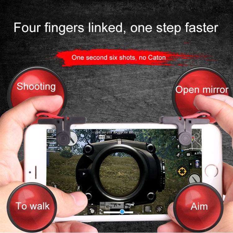 IPXG2551_6.jpg@b61ba5dce471246991ebf46be4ffa847