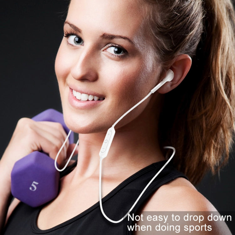 IPXM9535W_12.jpg@06c3e8c9949481f48ad94b86ab7661e9