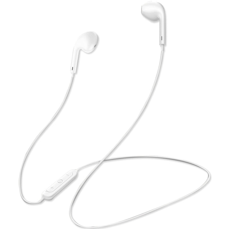 IPXM9535W_1.jpg@b63e6fdd9fc70469864f703cc3523127