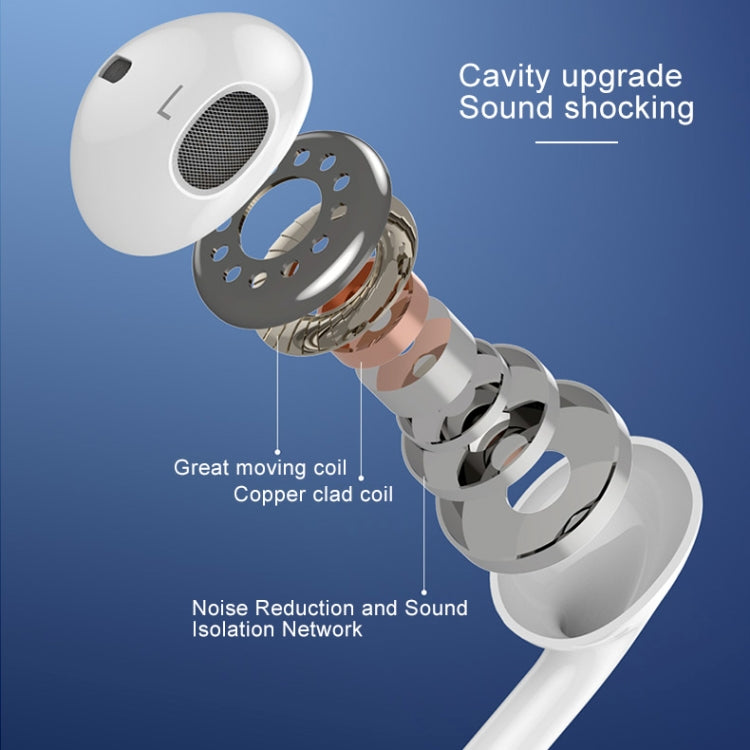 IPXM9535W_8.jpg@1350b732cee90b140b9cf8a14b2f2275