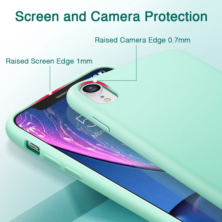 IPXR1204MG_6.jpg@794992440a19731356cacff62b916f11