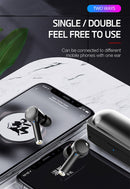 IPXS0540B_14.jpg@48d594babc3a3113459c250aadd0264b