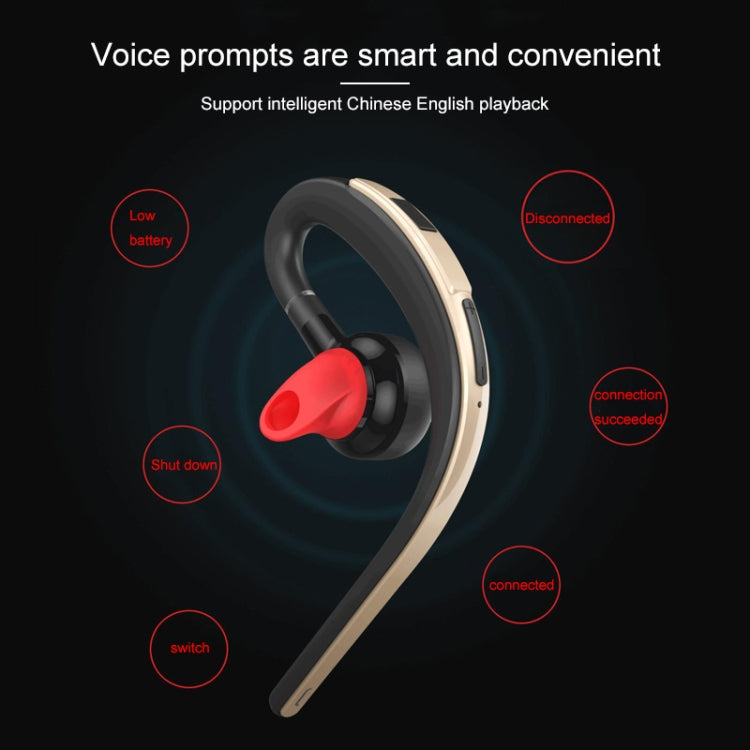 IPXS5130J_11.jpg@d83eb209123f1f56ba5a6abab0594503