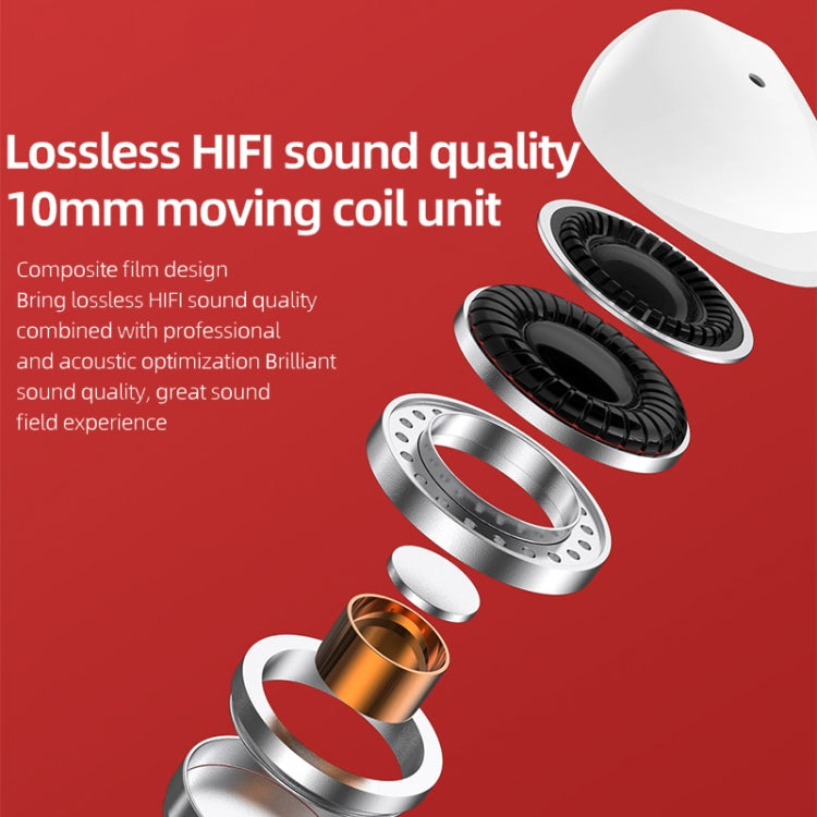 IPXS5873W_12.jpg@f8ae9ec9040b207e6f735a1e2cdd6e52