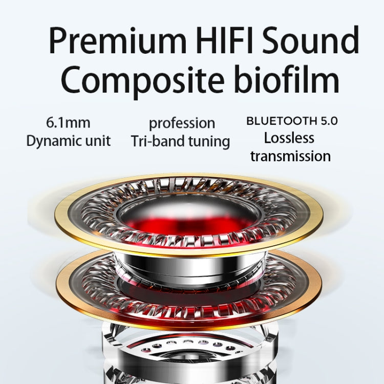 IPXS6125B_6.jpg@6b264c6fc900a9e6f80d3e2b5a3af0c7