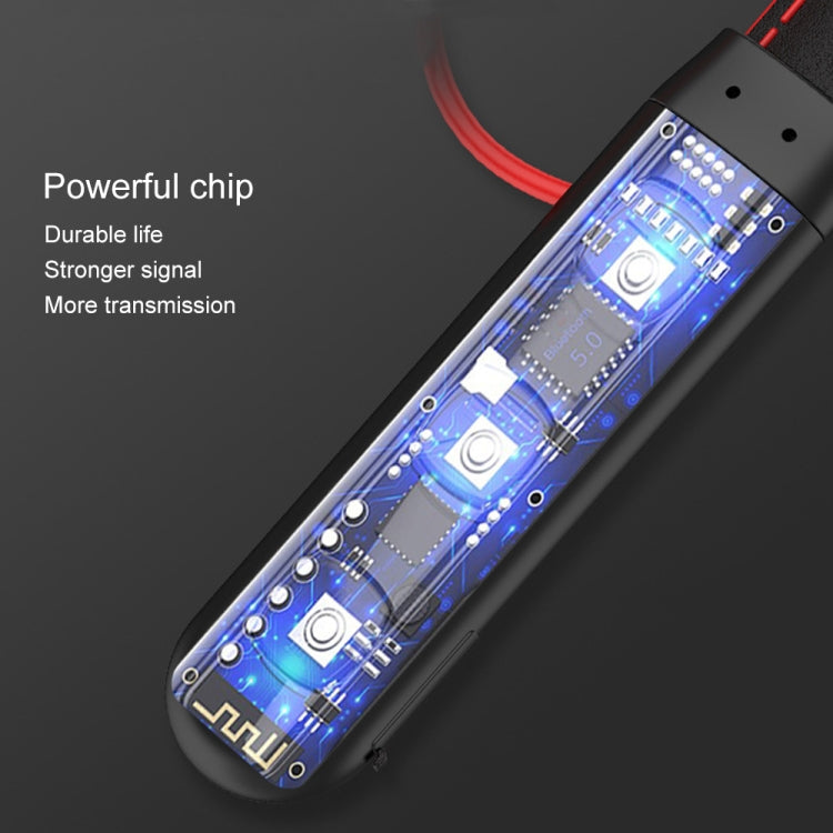 IPXS6959B_11.jpg@88548743ef1b932bebb32afe78509bbc