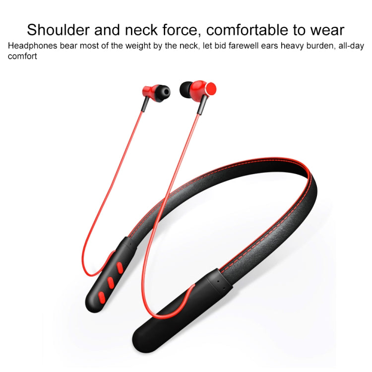 IPXS6959B_2.jpg@c8d70c24a907425edf2ea2f2d8a11361