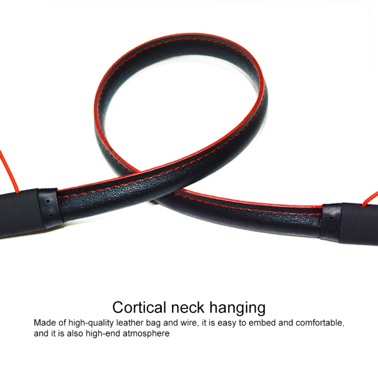 IPXS6959B_4.jpg@ac45c439470325d07a62373f50e26b54