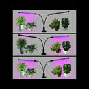 LED0194_7.jpg@51f343b06e364086cd90437ee509772a