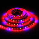 LED0455_6.jpg@82280916e14e87fbc30ad8a4c0214864